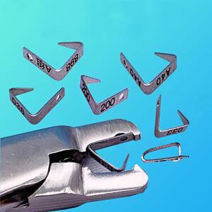 쥐마우스 햄스터 귀 태그 플라이어 304 스테인레스 스틸 실험실 도구 번호 편지 포셉 식별 클램프