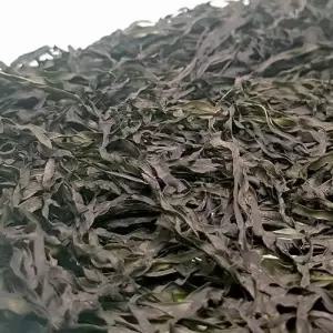 VGC 건다시마채 50g 건조 자른 채다시마 건채