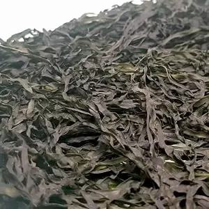 [셀러허브 식품]VGC 건다시마채 50g 건조 자른 채다시마 건채