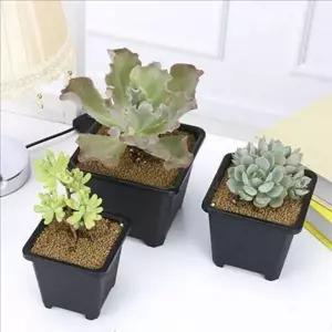 인테리어 플라스틱 화분 사각 다육 화분 베란다 식물 가정용