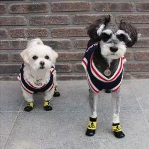 [셀러에이드]미끄럼 강아지 방수 양말 발 보호 강아지 신발 소형견 애견