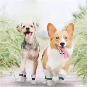 [셀러에이드]일회용 강아지산책 신발 보호 강아지 부직포 신발 양말 산책 풋커버