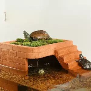 거북이 쉼터 놀이터 어항 은신처 육지 테라스 거북이사육