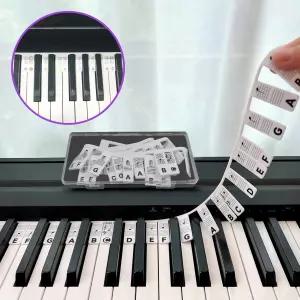 피아노 건반 스티커 계이름 연습용 88건반 투명 방수 음표 초보자 어린이 독학 입문용 학습
