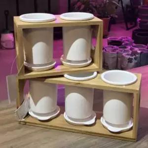 유광 도자기 다육 화분 3구 식물 용기 정리함 다육이