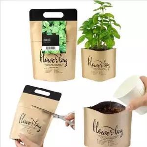 어린이 바질 씨앗 키우기 세트 새싹 식물 재배 키트 성장