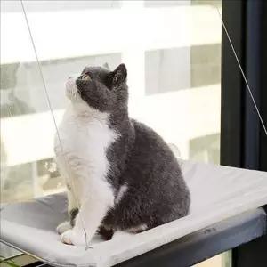흡착식 고양이 창문 해먹 윈도우 고양이 창문 침대 일광욕 창가