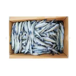 VB 두절 노가리 대용량 10kg 21-23 사이즈 1박스두 반건조두 맥주안주 용건어물 마른 건노