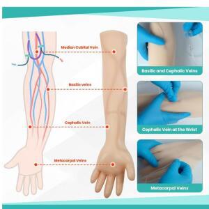 정맥 주사 실습용 팔 세트, 수액대 포함, 절개 팔, 의대생 및 간호사용 VC 라텍스