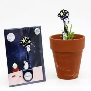 [골드스마일]특별 패랭이 꽃 씨앗 카드 새싹 패랭이 꽃 키트 키우기