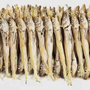 줄노가리 100마리 약 16cm 말린 건조 건어물건 안주 마른 업소용 맥주용