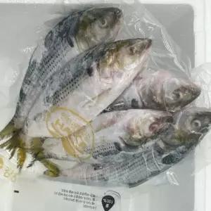 냉동 전어 3kg
