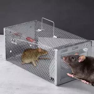 잡는 재사용 친화 철망형 쥐포획 포획틀 해충 방지 식당 포획망 설치류 생포용 포획기 생포 야생 작은 동물