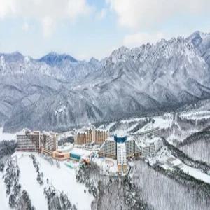 [강원 호텔] 소노캄 델피노 C동 (속초,고성)