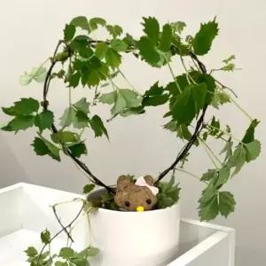 원형식물지지대 원형 식물지지대 화분 하트모양 넝쿨 원형식물지지대 호야지지대