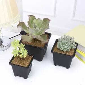 미니꽃화분 플라스틱 사각 다육이 화분(14 X 14cm) (WFK9ZIV)