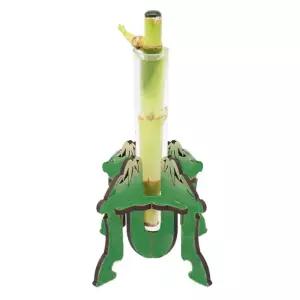 5인세트 초보자 식물기르기 비선대 개운죽만들기 식물키트 자연관찰