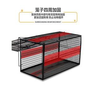 너구리 퇴치 방법 트랩 멧돼지 오소리 고양이