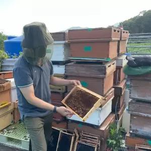 씌우는 얼굴모기장 아미그린