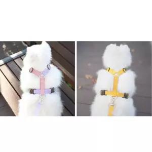 [룽스]애견 앞섬방지 댕댕이 산책용 하네스 리드줄 세트