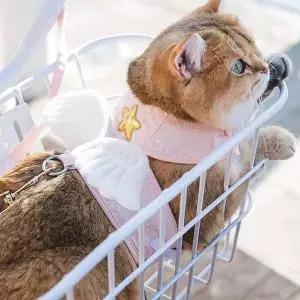 하네스 리드줄 세트 산책 고양이 강아지 반려견 애견하네스