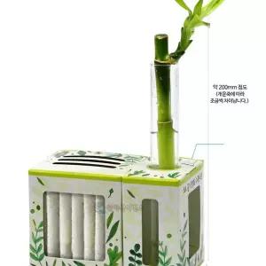 (SA) SA 2in1 숲 공기청정기과학교구 실험키트 세트 만들기