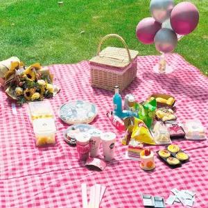 대형 방수 피크닉매트 1P (레드체크)캠핑 한강 야외 나들이 나들이돗자리 소풍