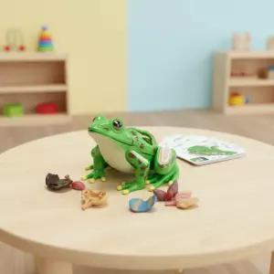 캐스B 개구리해부모형 네이처 개구리 피규어 조립 미니어처 동물퍼즐 해부모형 장난감 과학학습