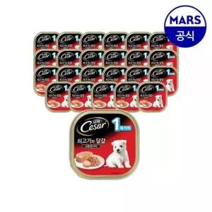 시저 강아지 습식 캔 밥 1세이하 쇠고기와 달걀 100g 24개