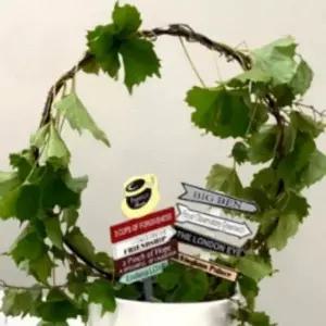 식물 넝쿨 지지 와이어 정원용 원형 구조대