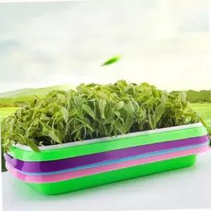 촘촘 새싹 재배기 채소키우기 새싹재배기