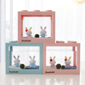 세남자 파스텔토끼 국산 마리모 키우기 DIY세트 마리모 키우기 키트