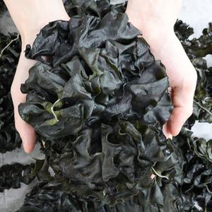 완도 햇 돌미역귀 500g 800g 자연산 미역머리 산모미역 말린미역귀