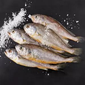 바다소리 갓잡아 신선한 제주 추자도 참조기 1.4kg