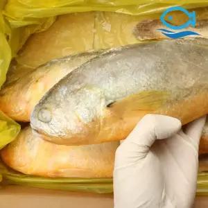 도매 부세 조기 7-8미 3.4kg 1박스 제수용 찜 구이 찌개 부새