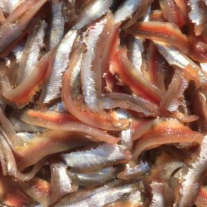 기장 멸치회 생멸치 순살 횟감용 500g