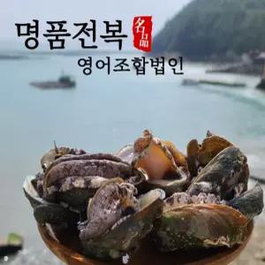 완도 명품 활전복 대 9-10미 1kg [손질솔 동봉]