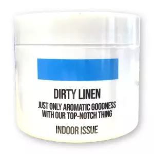 더티린넨 인도어이슈 실내 탈취제 300g 1개 화장실 담배 집안 실내 홀애비 남자방 냄새제거