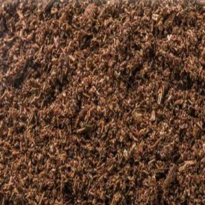 곤충사육통 바닥재 6L 사슴벌레톱밥 곤충톱밥 장수풍뎅이흙