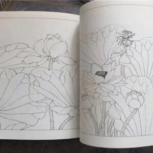 화접도 밑그림도안집 민화 4개 공필화 백어 백수 그리기 백화 세트 나비 DIY 도안집