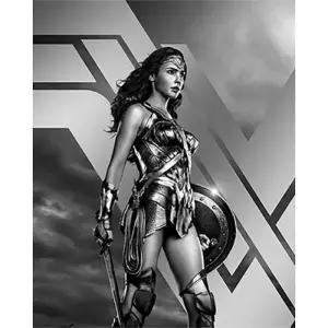 [아트박스]/아이러브페인팅 보석십자수 DC코믹스 원더우먼 블랙 캔버스 40x50