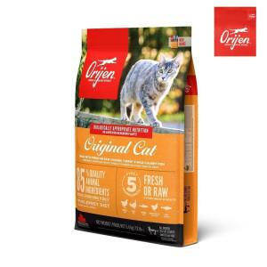 오리젠 오리지날 캣 캣앤키튼 5.4kg