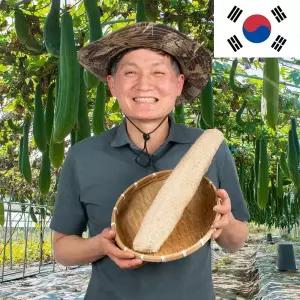 주방해석 국산 천연 수세미 아기 제로웨이스트 생분해 이유식