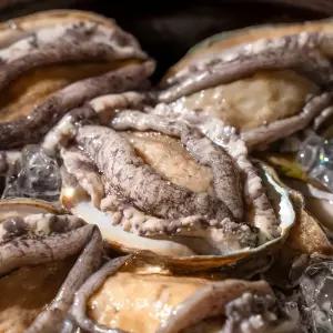 완도전복 활전복 전복요리 찜 오분자기 구이 1kg