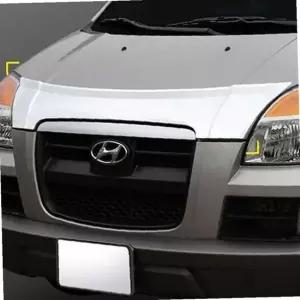 스타렉스 후드 가드 버그 보호 크롬 몰딩