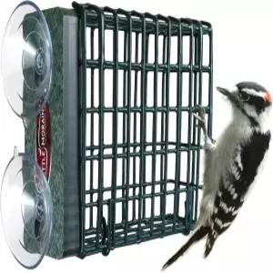 케틀 모레인 윈도우 마운트 싱글 스위트 케이크 딱따구리 새 모이통