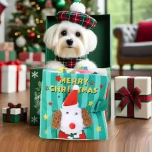 레이헬드 개 장난감 스너플 사운드 북 시리즈 점심 공간 크리스마스 굿나잇 생일 스카우트 테마 3D 강아지