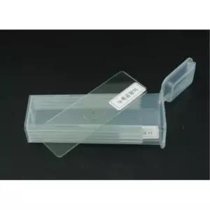 생물 관찰 실험 누룩곰팡이 프레파라트 슬라이드 2개