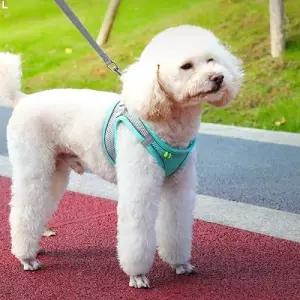 메쉬 조끼 하네스 강아지 BND-A14고양이가슴줄 산책용목 리드 가슴 멍멍이