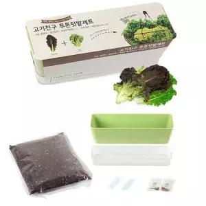 현이몰 상추키우기 식물재배기 세트 텃밭상자 텃밭세트 실내텃밭 원예용품 집에서상추키우기 베란다텃밭